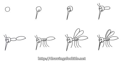 How to draw a Mosquito for kids - drawingsforkids.net