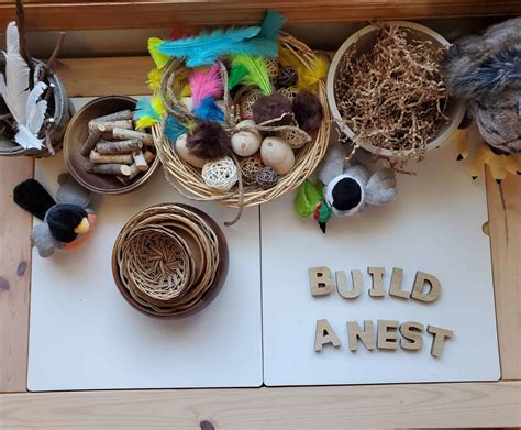 Build a Bird Nest Activity » Share & Remember | Celebrating Child & Home