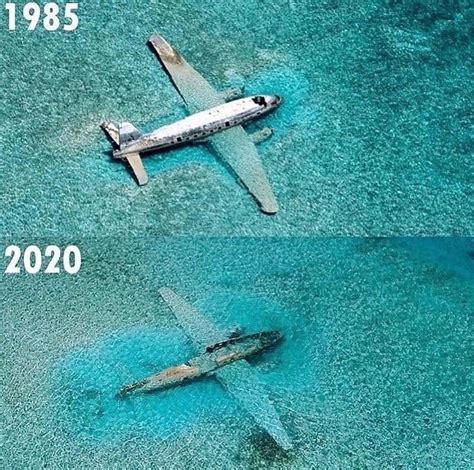 Curtiss C-46 Commando, one of Pablo Escobar / Carlos Lehder’s drug smuggling planes near Norman ...