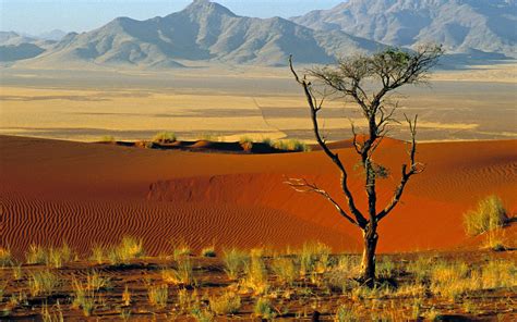 Namibia Wallpapers - Top Free Namibia Backgrounds - WallpaperAccess