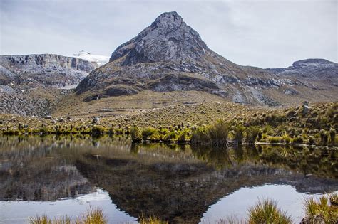 Cordillera Oriental de Colombia: características, fauna, flora, parques