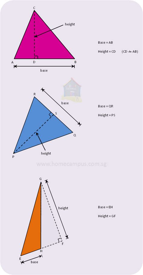 Base and Height of a Triangle - Home Campus