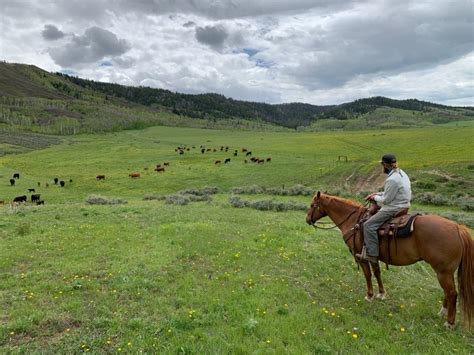 Meet Fritz Boniface | Ranch Foreman/Fly Fishing Guide/Musician – SHOUTOUT COLORADO