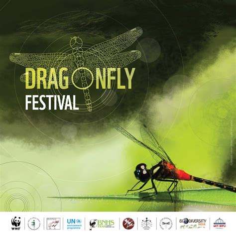 Dragonfly Festival