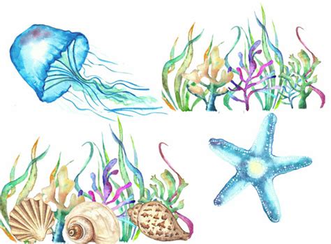 Download High Quality ocean clipart watercolor Transparent PNG Images - Art Prim clip arts 2019