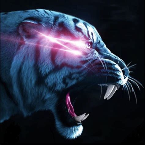 Mr Beast Tiger Logo Store | www.congress-intercultural.eu