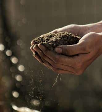 contaminants-in-soil | The Interfaith Center for Sustainable Development