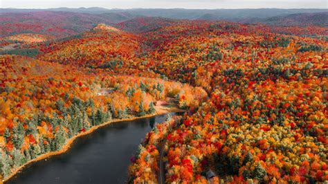 Peak Fall Foliage in New England - NetHugs.com