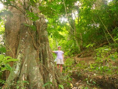 Tad Thong Waterfall (Luang Prabang) - 2018 All You Need to Know Before You Go (with Photos ...