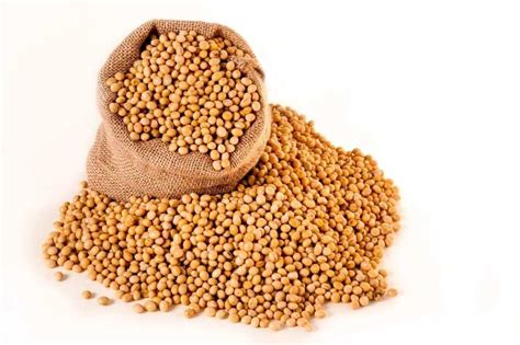 Benefits of soya beans to babies: All the details to know - Legit.ng