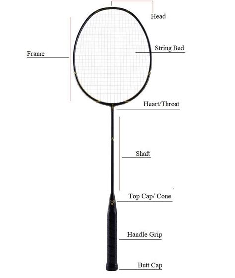 Parts Of The Racket In Badminton | Images and Photos finder