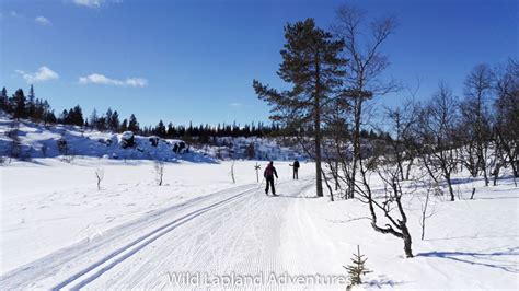 Guided Cross Country Skiing in the Arctic (Rovaniemi, Lapland) – Wild Lapland Adventures