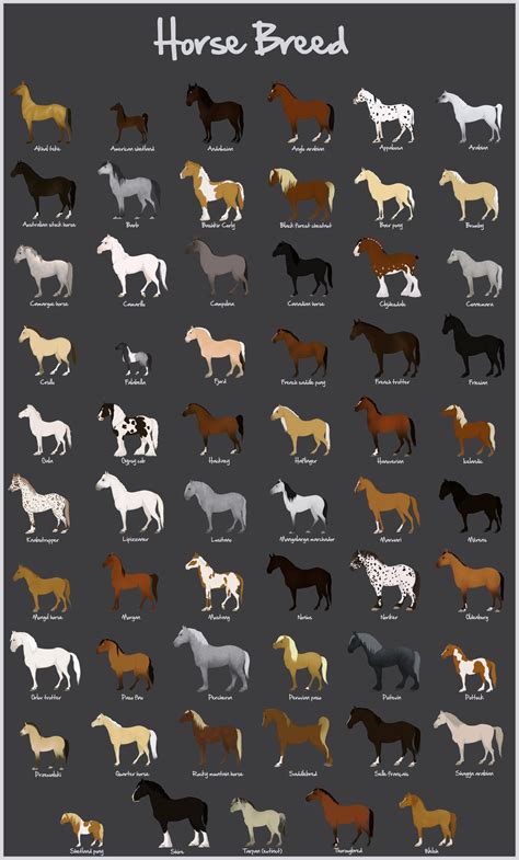 Breeding Color Chart For Horses - Draw Stunning Portraits