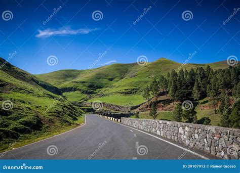 Hill road stock image. Image of outdoor, cloud, pine - 39107913