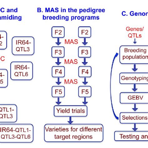 Examples of high-throughput SNP genotyping technologies. | Download Table