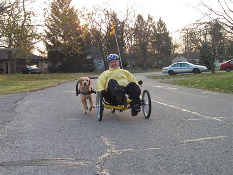 Dog-Powered Scooters - Calm Energy Dog Training