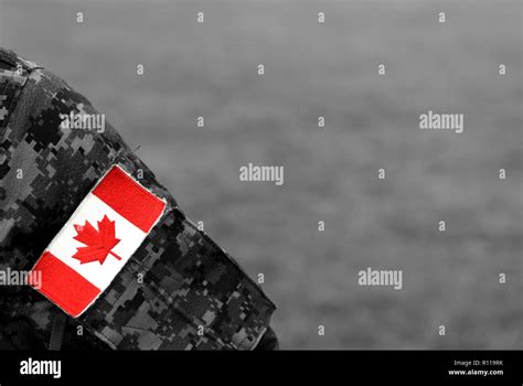 Canadian troops. Canadian Army. Canada flags on soldiers arm Stock Photo - Alamy