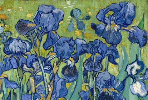 Five Ways of Seeing Van Gogh's Irises | Van gogh irises, Van gogh ...