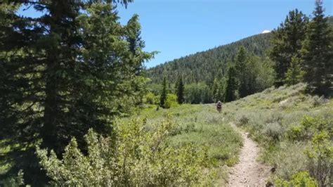 Best Backpacking Trails in Great Basin National Park | AllTrails