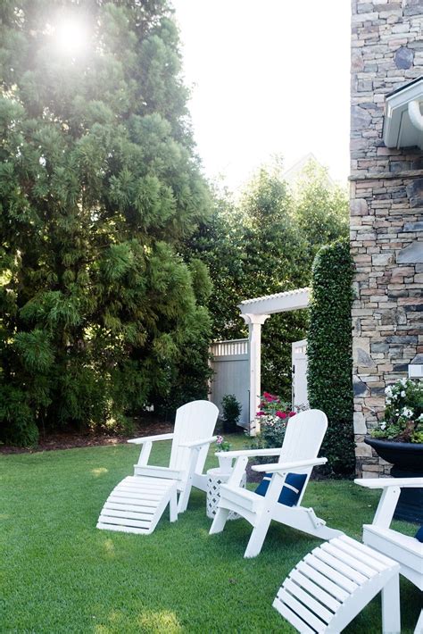 Top 5 Privacy Trees for Backyard that Give Evergreen Color!