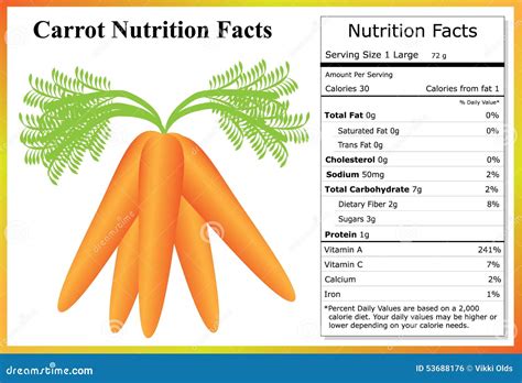 Carrot Nutrition Facts stock vector. Image of organic - 53688176