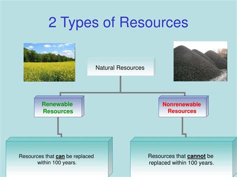 4 Types Of Resources