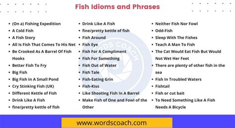 Fish Idioms and Phrases - Word Coach