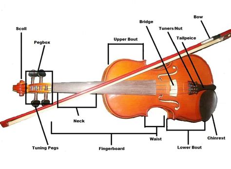 The Basics of Fiddle Build, Construction, and Parts - StringVibe