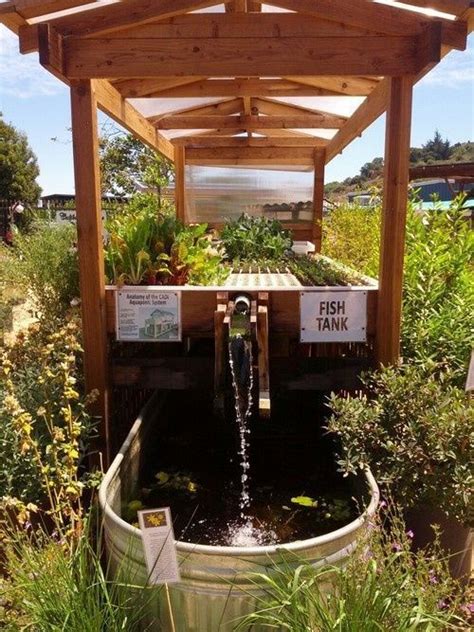 DIY Mini Aquaponics System | Backyard aquaponics, Aquaponic gardening ...