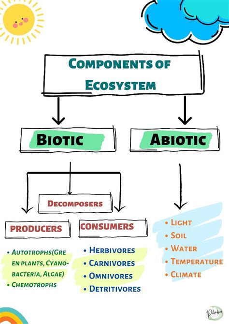 Components of Ecosystem in 2023 | Life science lessons, Teaching ecosystems, Earth science lessons