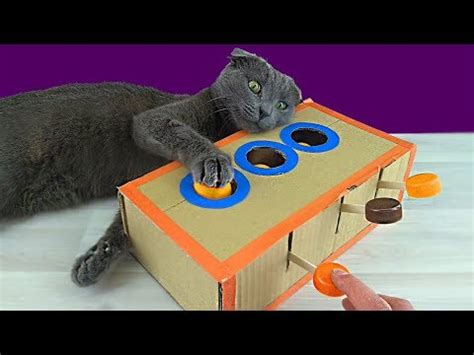 How To Make a Amazing Cat Toy from Cardboard / DIY Cat Toy - YouTube