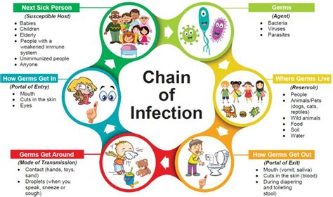 The chain of infection, if we think of it as an actual chain, is made up of six different links ...