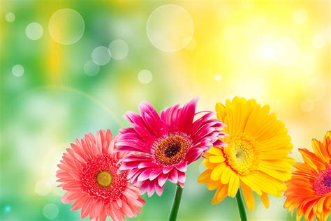 good morning message with flowers - Clip Art Library