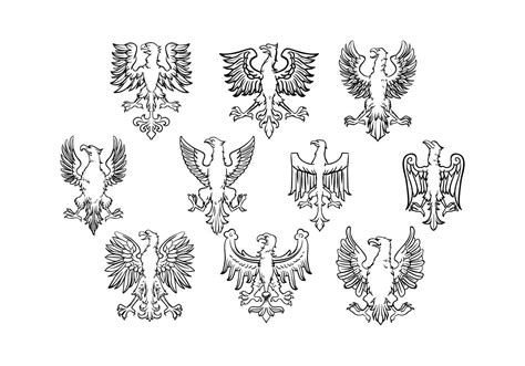 Free Polish Eagle Vector 126497 Vector Art at Vecteezy