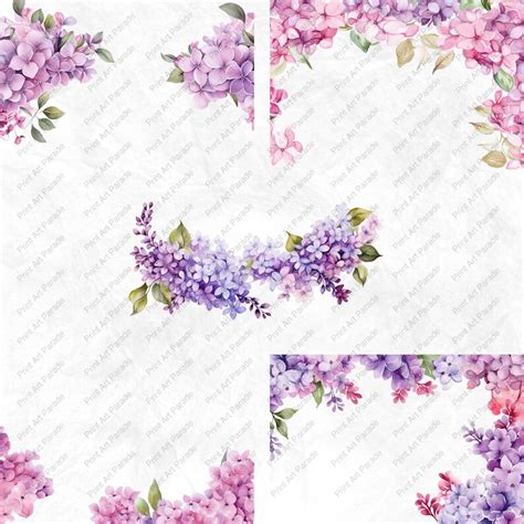 Lilac Border Clipart PNG Watercolor Lilac Border Floral Border Digital ...