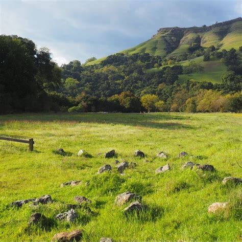 Sunol Regional Wilderness - Lonely Hiker