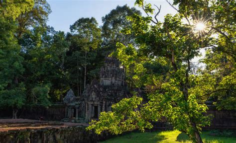 60+ Cambodia Main Religion Stock Photos, Pictures & Royalty-Free Images ...