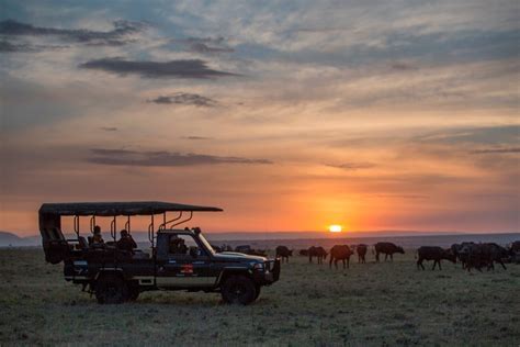 Explore the Wonders of the Mara from Elewana Elephant Pepper Camp