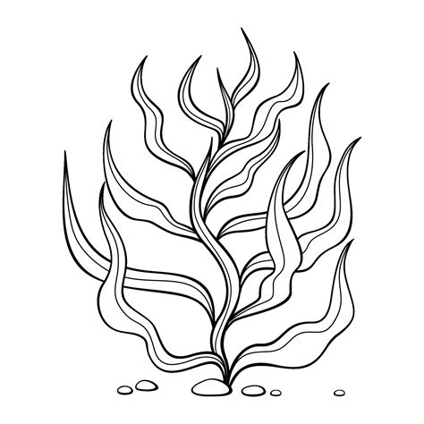 Outline underwater algae. Black and white illustration of aquatic plants. Seaweed. Vector ...