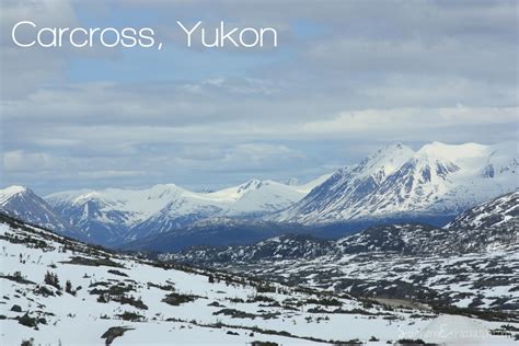 Caribou Crossing {Carcross, Yukon} | Southern Exhilaration