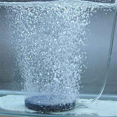 TOMSHOO Air Bubble Stone Aerator for Aquarium Fish Tank Pump Hydroponic ...