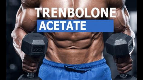 Buy Legal Trenbolone Acetate: Advices And Screenshots