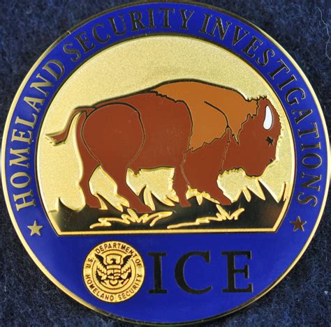 US Homeland Security Investigations HSI SAC Buffalo | Challengecoins.ca