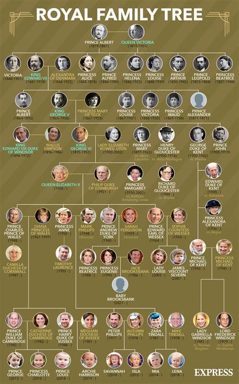 Princess Anne 'deserves' to be moved up Royal Family line of succession ...