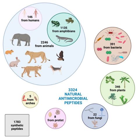 Microorganisms | Free Full-Text | Bioactive Antimicrobial Peptides: A ...