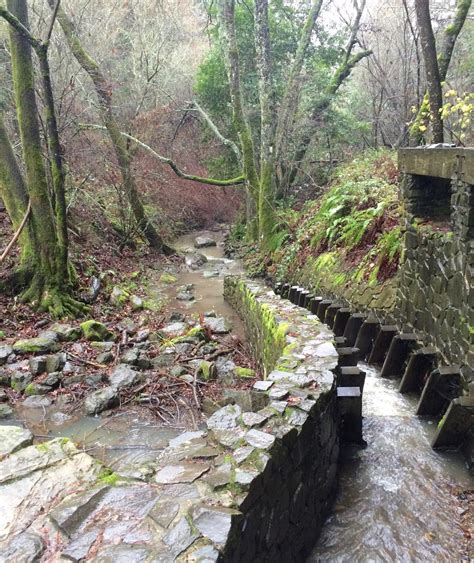 Just A Darling Life: Hiking in Redwood Regional Park, Oakland, CA