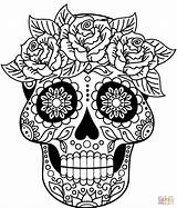 Sugar Skull coloring page  Free Printable Coloring Pages sketch template
