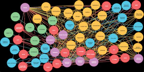 Neo4j knowledge graph visualization. | Download Scientific Diagram