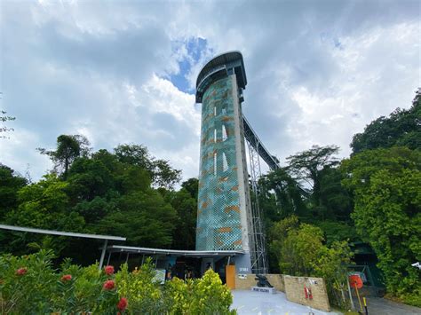 Fort Siloso Skywalk - A scenic treetop trek on the way to Fort Siloso