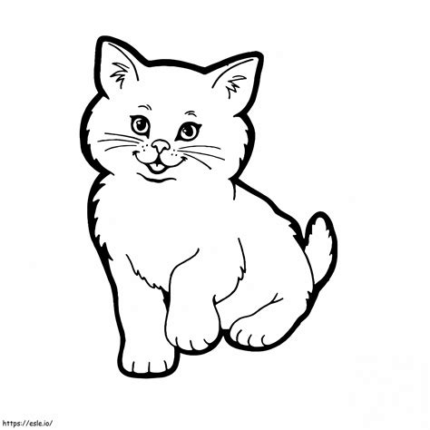 Basic Kitten coloring page